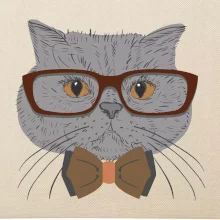 Hipster britská modrá