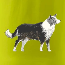 Border kólia kreslená