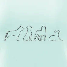 Americký stafordšírsky teriér v rôznych pozíciách