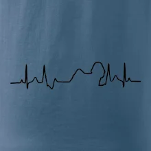 Shih-tzu ekg obrys Shih-tzu ekg obrys