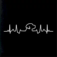 Labradorský retriever EKG Labradorský retriever EKG