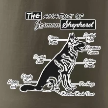 Nemecký ovčiak - Anatómia