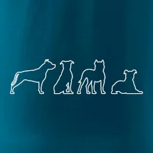 Americký stafordšírsky teriér v rôznych pozíciách