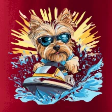 Yorkšírsky teriér na vodnom skútri