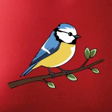 Sýkorka modrinka na vetve