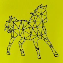 Geometria - kôň jednofarebná