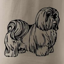 Shih-tzu - chlpatý Shih-tzu - chlpatý