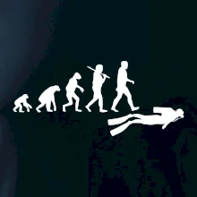 Evolúcia potápanie