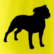 Americký stafordšírsky teriér Na prsníku