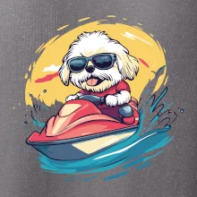 Lhasa Apso na vodnom skútri