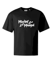 Harry - Mischief Managed