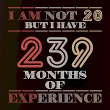 20 years 239 months of experience