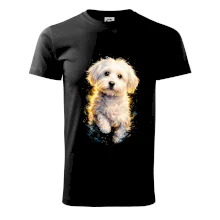 Obrázok poltón Maltezský psík