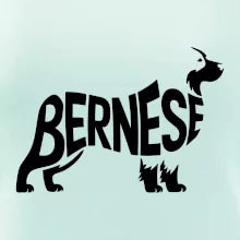Bernese Mountain Dog nápis v tele