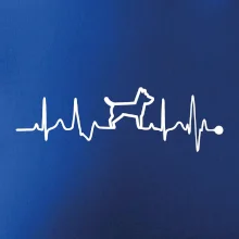 Ekg psí obrys Ekg psí obrys