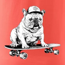 Čiernobiely buldog na skateboarde