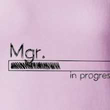 In progress titul Mgr. magister / magistra