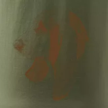 Basset - kreslená hlava