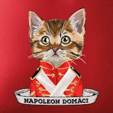 Napoleon domáci mačka Napoleon domáci mačka