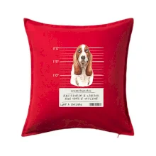 Baset - lump a darebák  