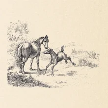 Kôň a žriebä maľované