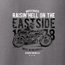 Raisin Hell Moto Racer