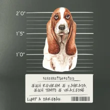 Baset - lump a darebák  