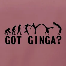 Capoeira - Got Ginga