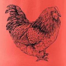 Sliepka čiernobiela