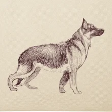 Nemecký ovčiak - kreslený skica  