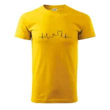 Yorkshirský teriér EKG Yorkshirský teriér EKG