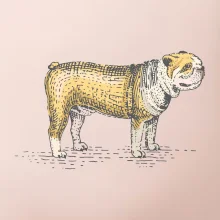 Vintage bulldog