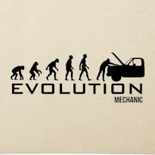 Evolúcia mechanik