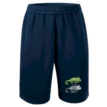 ChameleON_OFF (Hana-creative)