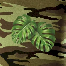 Monstera - dva listy Monstera - dva listy