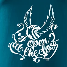 Harry - Zlatá strela