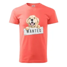 Zlatý retriever - šteniatko wanted