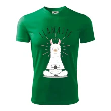 Yoga Llamaste Yoga Llamaste