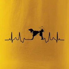 Český strakatý pes EKG