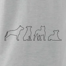 Americký stafordšírsky teriér v rôznych pozíciách