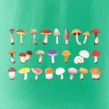 Huby farebné Huby farebné