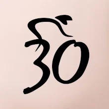 Cyklista oslavuje tridsiatku (30)