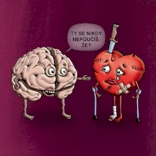 Mozog a srdce - poučenie (Hana-creative)