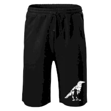 The Crow nature The Crow nature