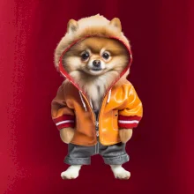 Pomeranian v bunde Pomeranian v bunde