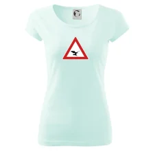 Dopravná značka - Pozor orol