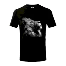 Vyzerajúci lev Vyzerajúci lev