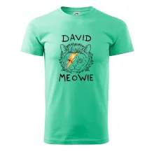 David Meowie