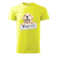 Zlatý retriever - šteniatko wanted