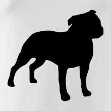 Americký stafordšírsky teriér Na prsníku